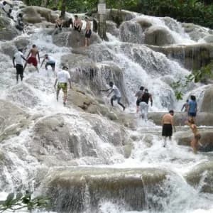 Dolphin Cove Ocho Rios